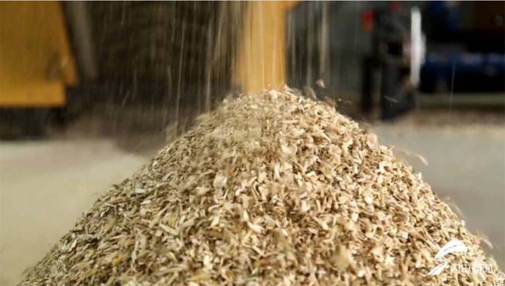 “废料”变“肥料”！看园林废弃物如何实现“落叶归根”